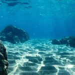 IUCN Leaders Forum Unveils Ambitious Plans for Ocean Conservation