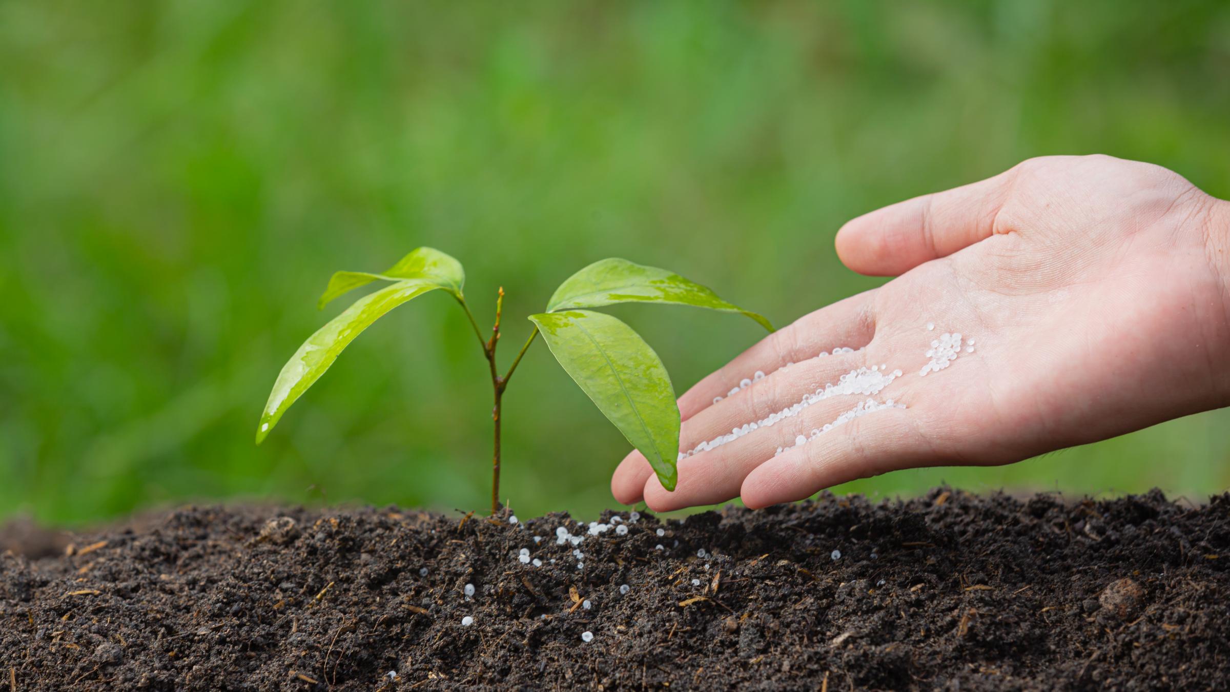 Soil Health