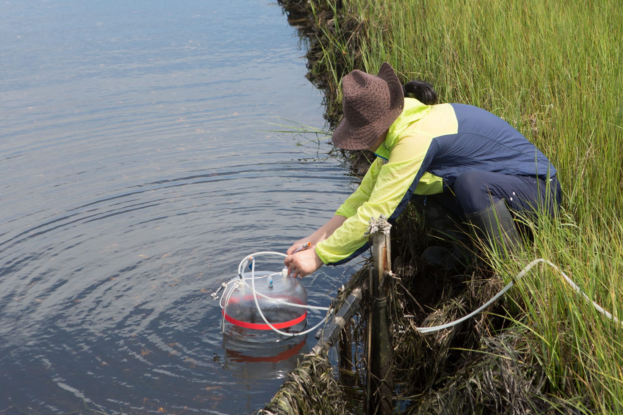 Water Quality Management