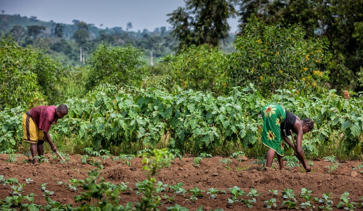 Food Security