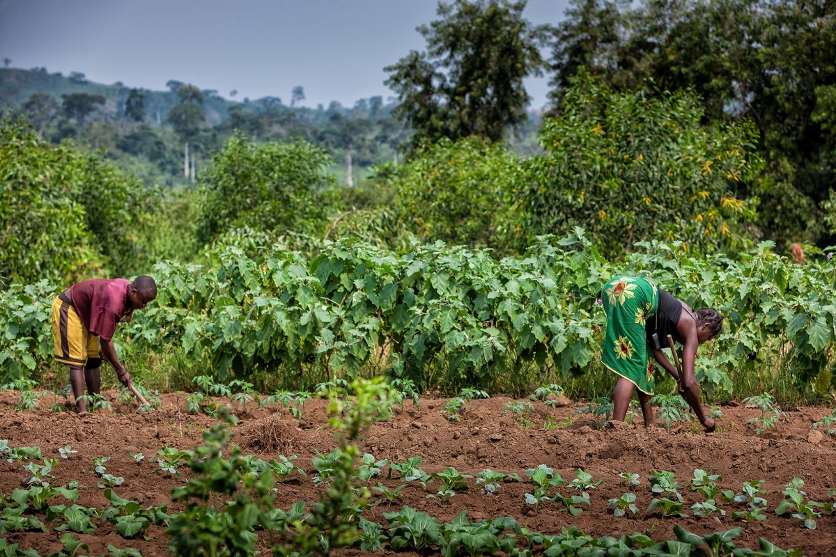 Food Security