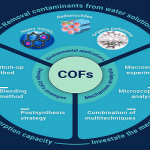 Covalent Organic Frameworks (COFs)